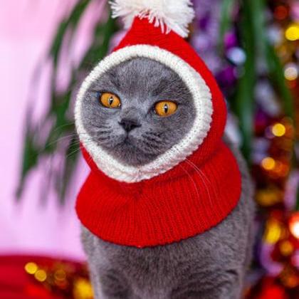 New Year's Wear Pet Dog Warm Hat R..