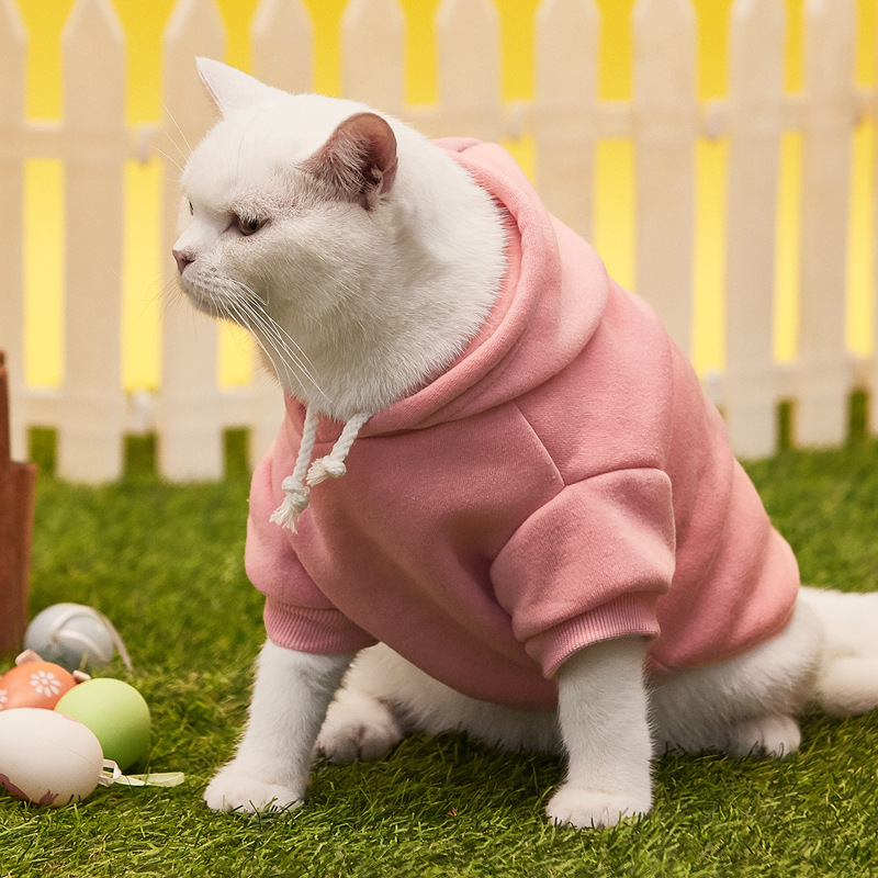 2021 dog clothes new cat and dog sweater hooded pet jacket big dog clothing solid color two-legged hooded sweater