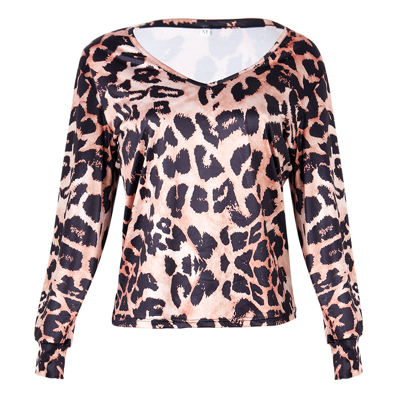 Womens Blouses Long Sleeve Leopard Print Autumn Casual Loose V Neck Shirt Loose Shirts 