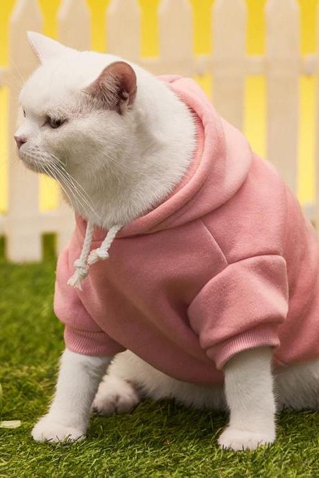 2021 dog clothes new cat and dog sweater hooded pet jacket big dog clothing solid color two-legged hooded sweater