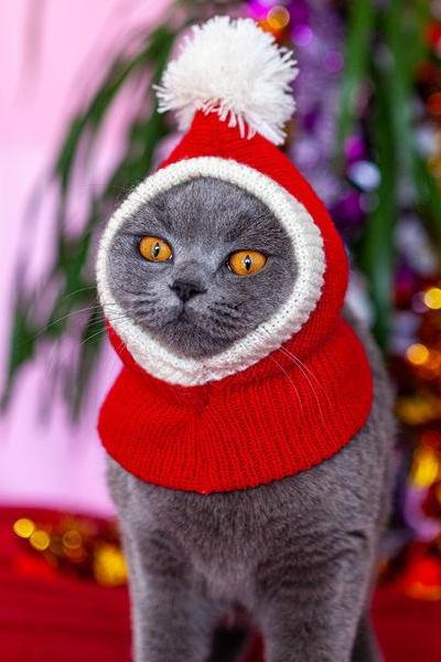 Year&amp;#039;s Wear Pet Dog Warm Hat Red Christmas Hat Cat Headdress Hand Knitted Hat